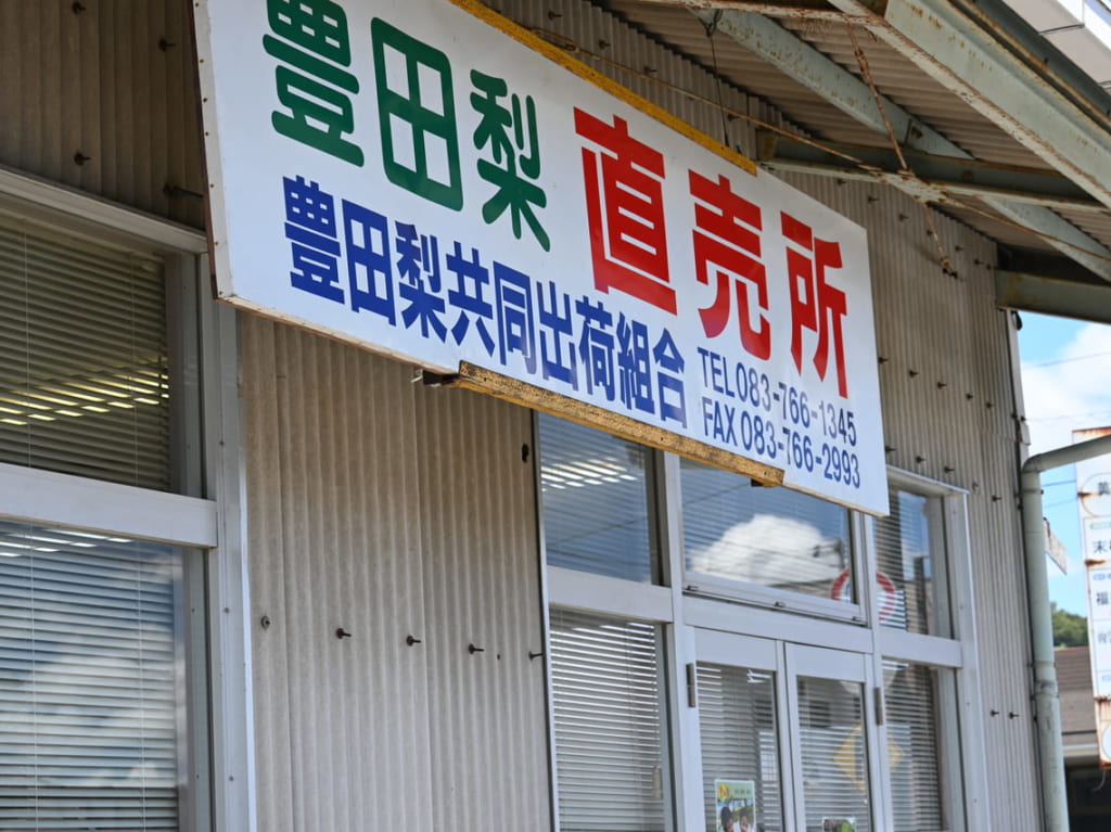 TOYOTANASHI
