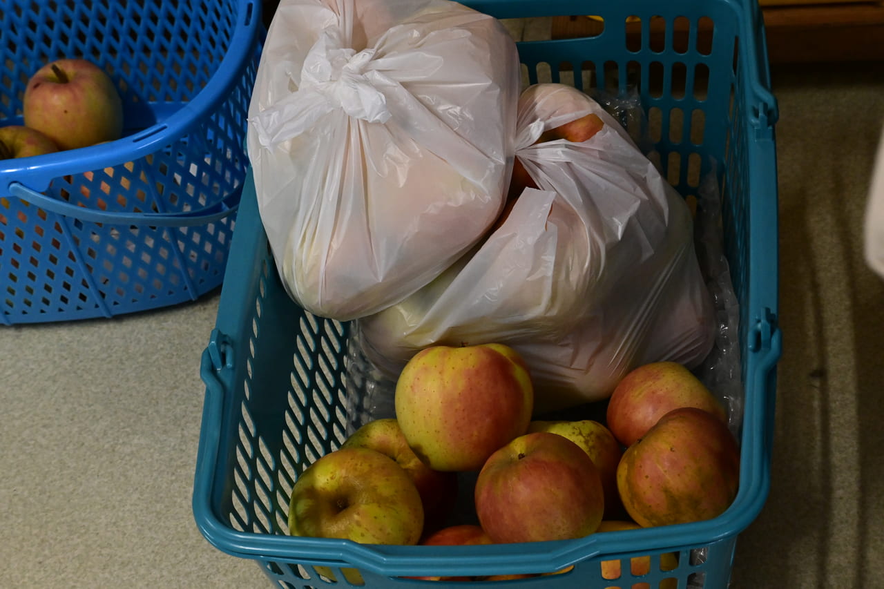 apple picking