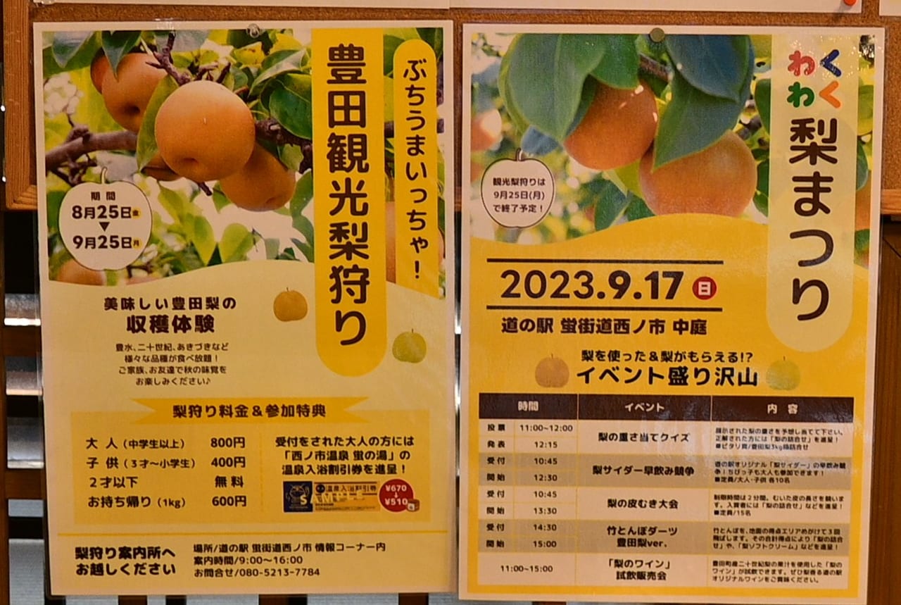 pear Fes Nisinoiti