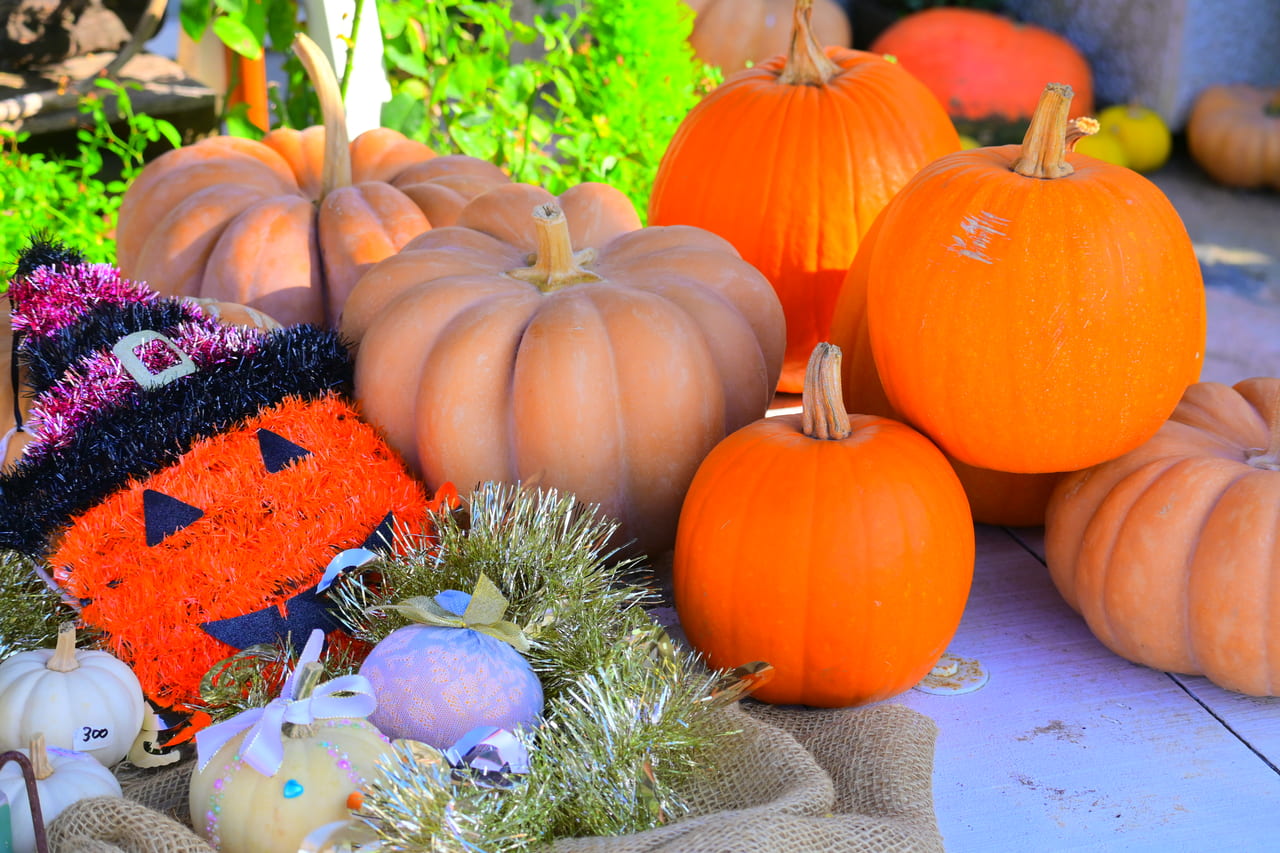 halloween pumpkin festival