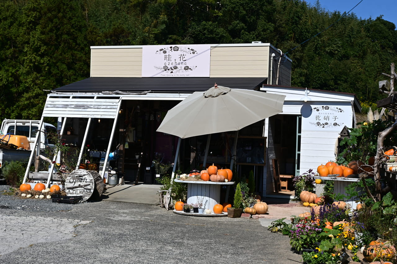 halloween pumpkin festival