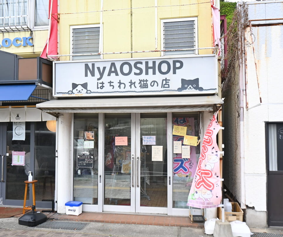 NyAOSHOP