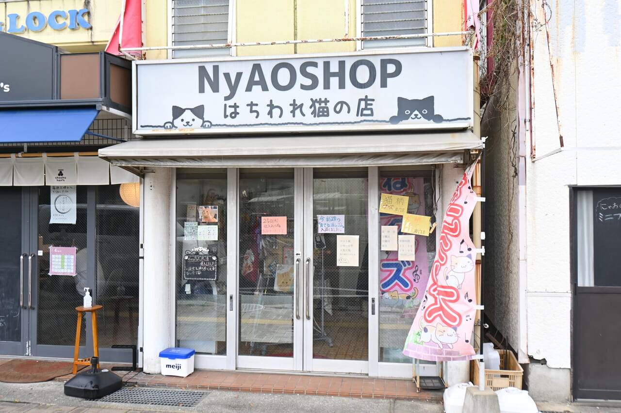 NyAOSHOP