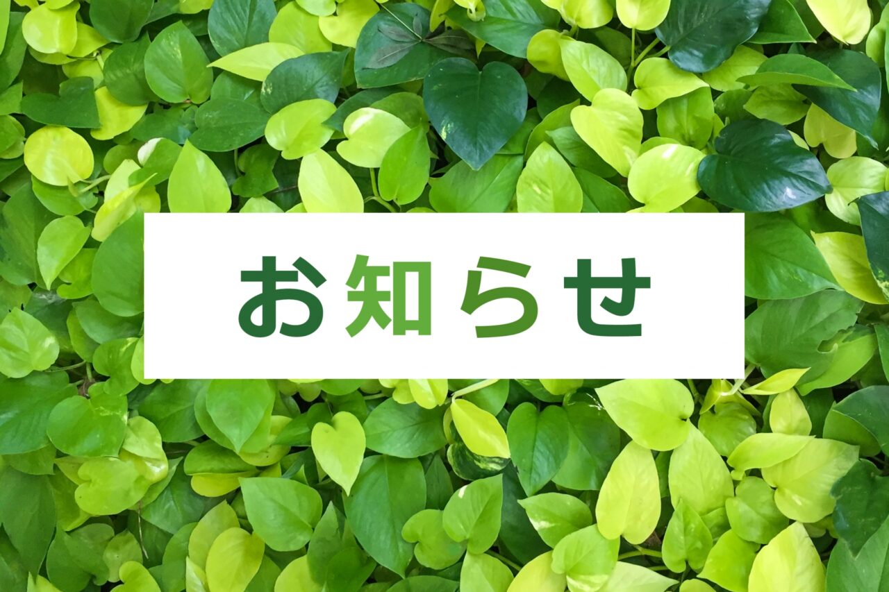 葉っぱ